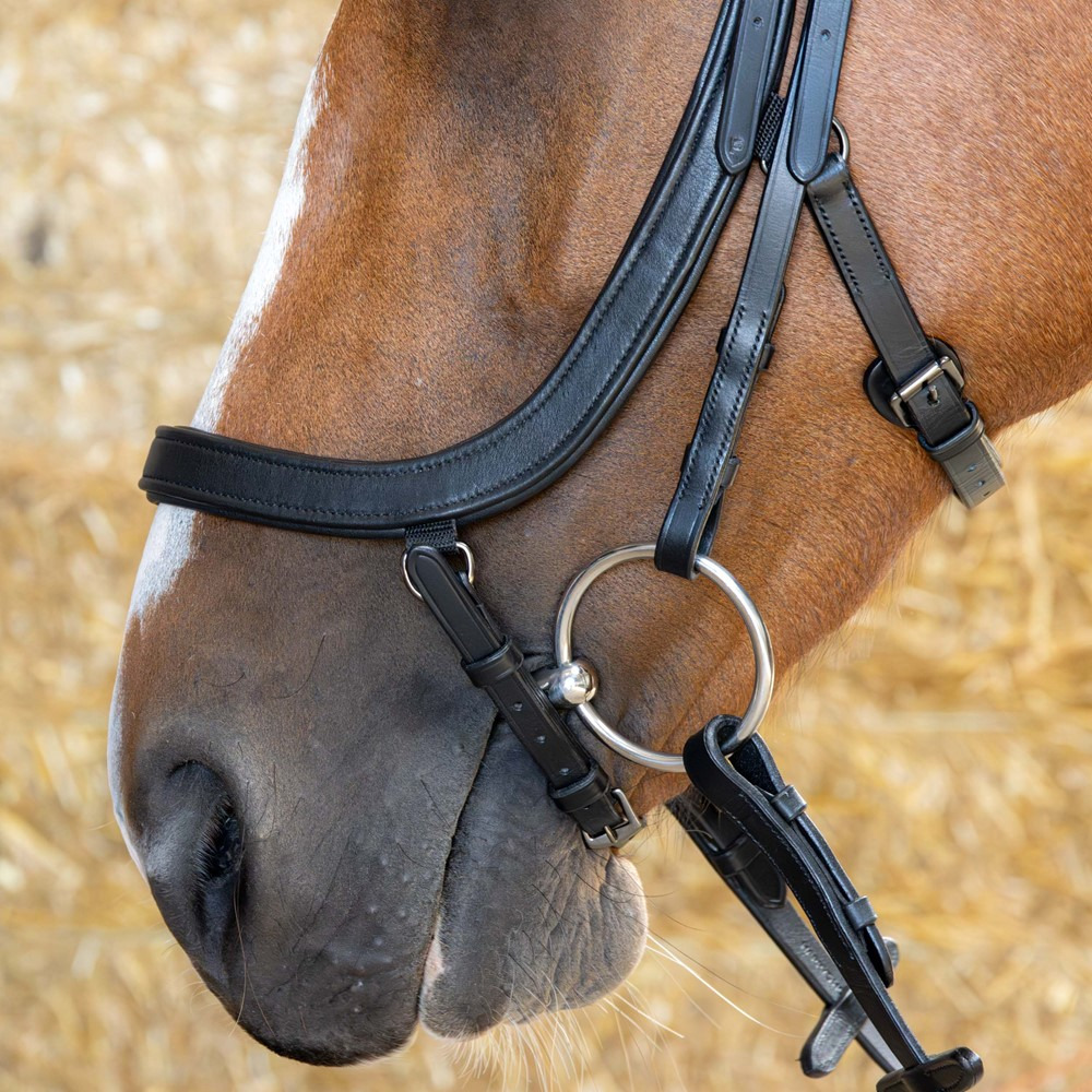 Harry's Horse Anatomical Bridle Black Crystal