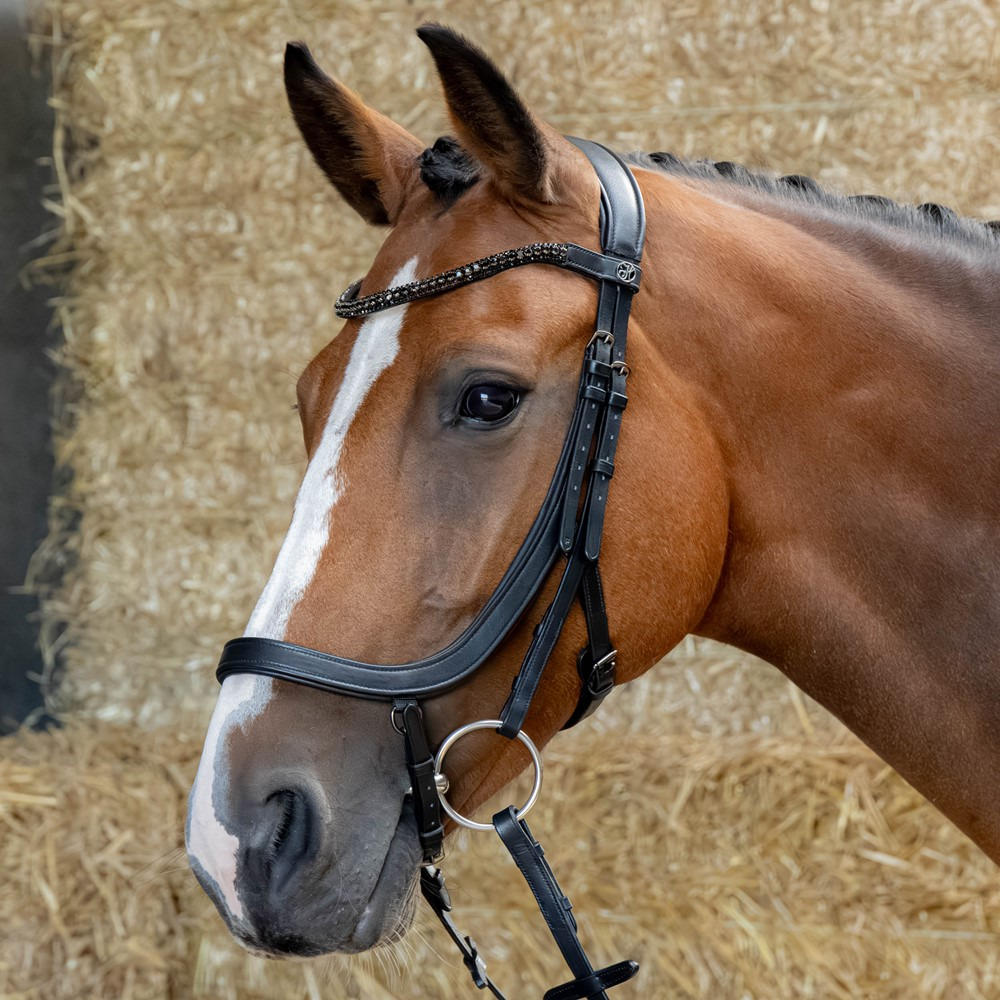 Harry's Horse Anatomical Bridle Black Crystal