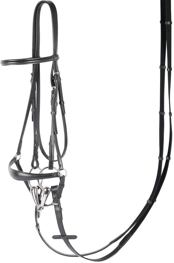 Harry's Horse drop noseband bridle 