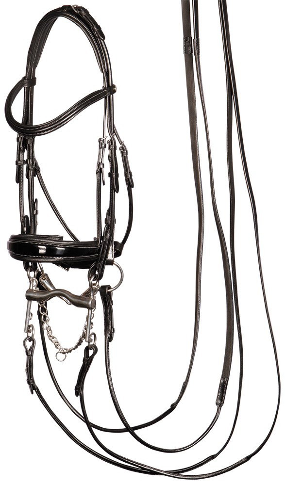 Harry's Horse Double bridle Grand Prix 