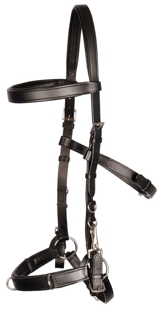 Leather lunging bridle / Cavesson