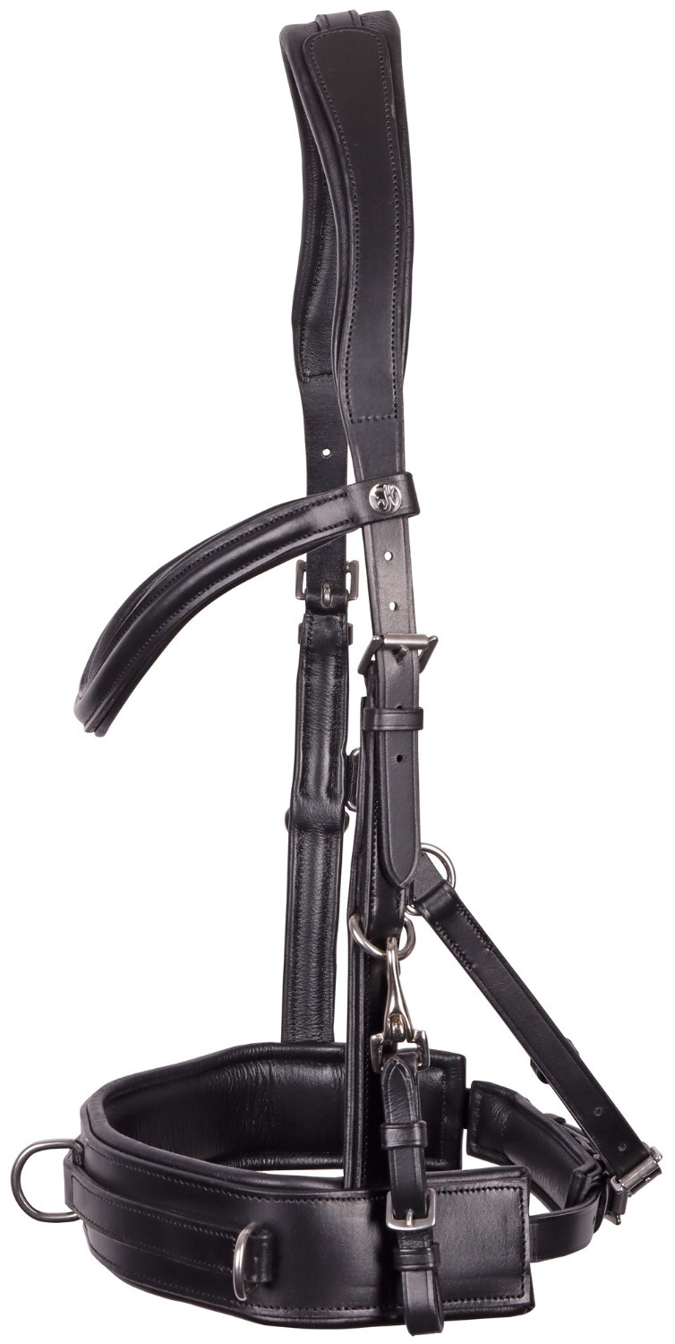 Harry's Horse Cavesson Bridle Leather Comfort