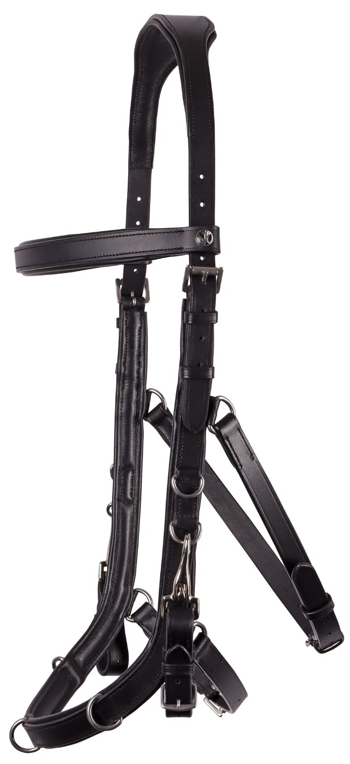 Harry's Horse Anatomic Leather Cavesson Bridle