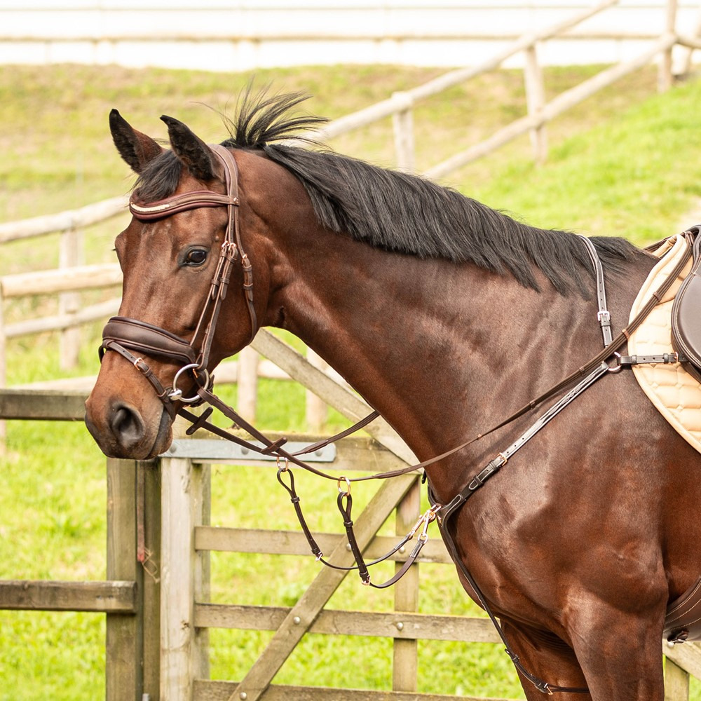Harry's Horse Front breastplate Rosegold