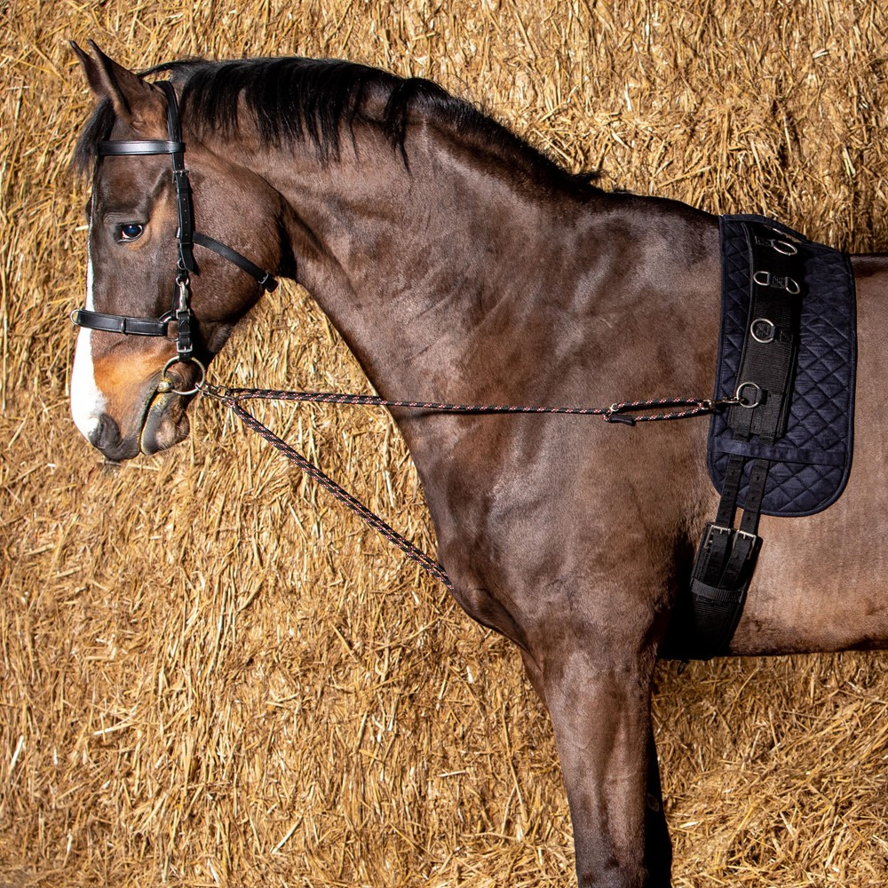 Harry's Horse Lunging Cords V-line (per pair)