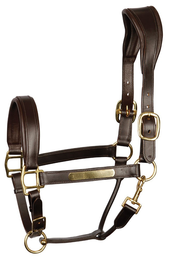 Harry's Horse Halter Leather Anatomic