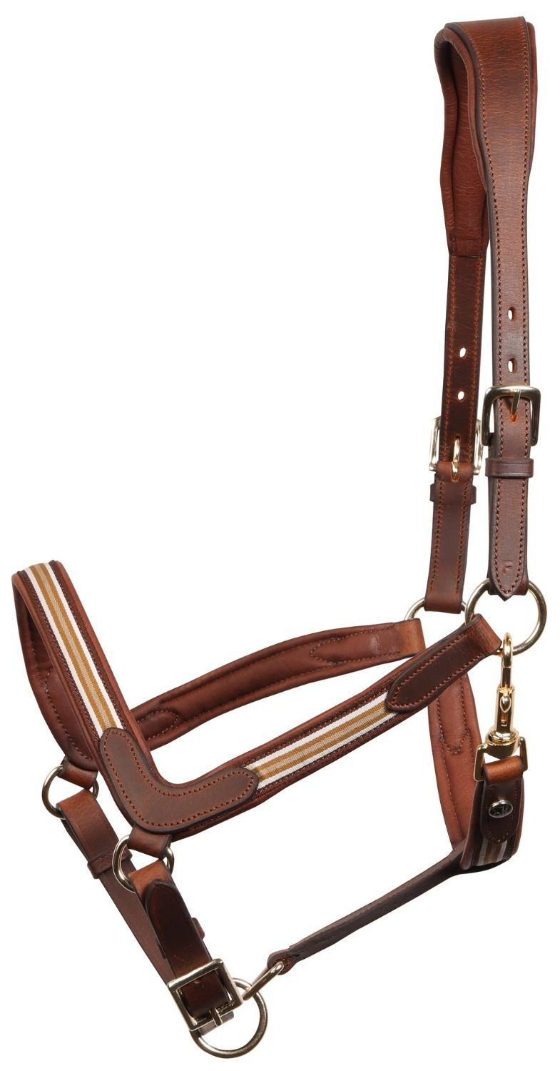 Harry&#39;s Horse Halter Leather Flash