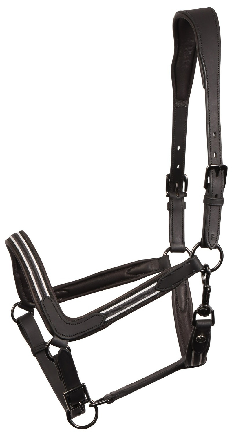 Harry&#39;s Horse Halter Leather Flash