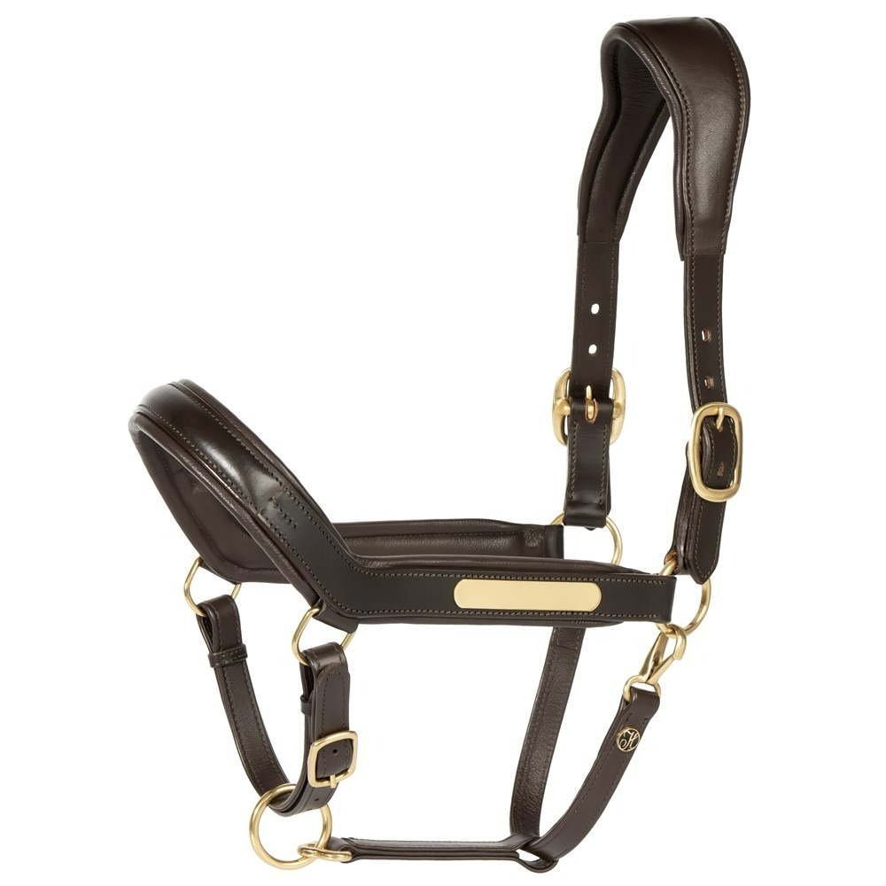 Harry's Horse Anatomic Leather Halter II