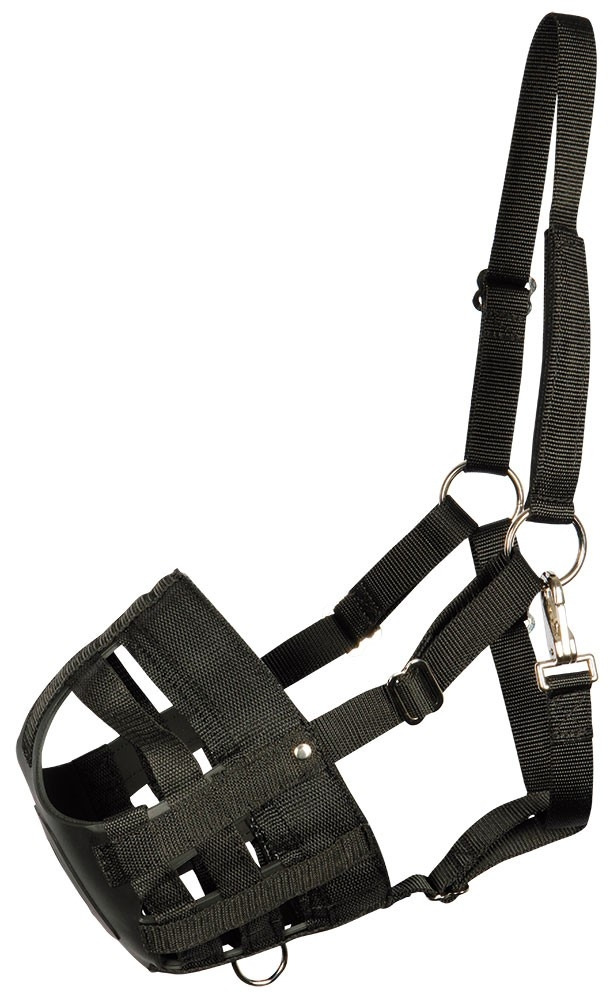 Harry's Horse grazing muzzle air
