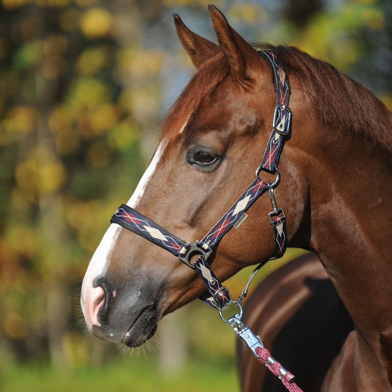 Kavalkade Halster Classic Ruit