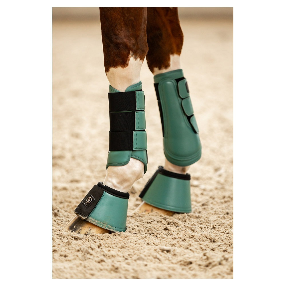 BR CLX Majestic Leg protection