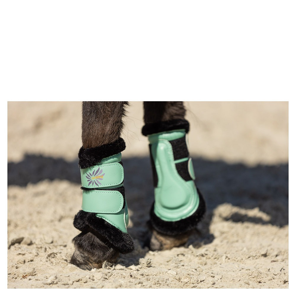 BR Mini Horse Majestic Leg Protectors
