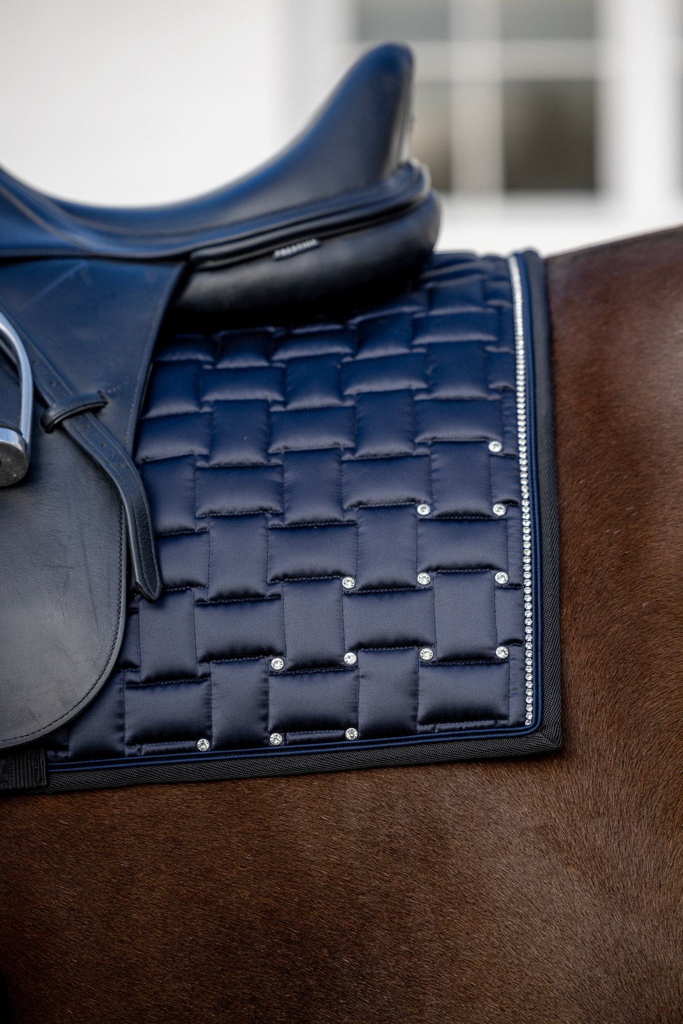 Horseguard FW25 Ville Schabracke