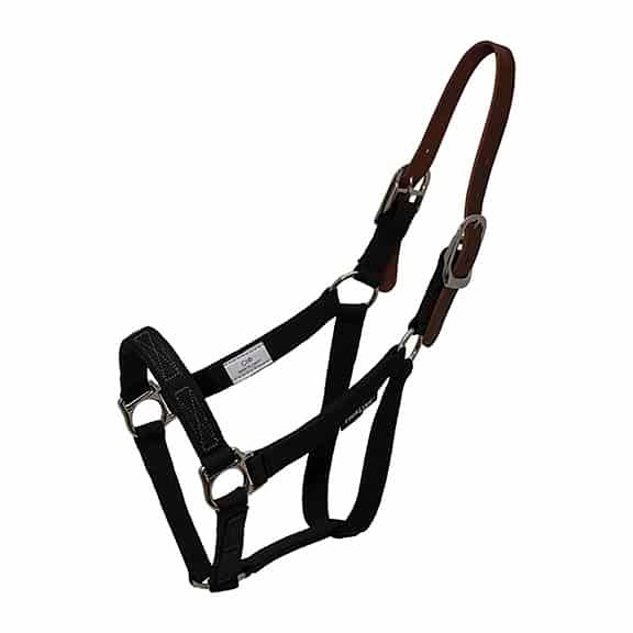 ThinLine Replacement Breakaway Halter Part / Crownpiece