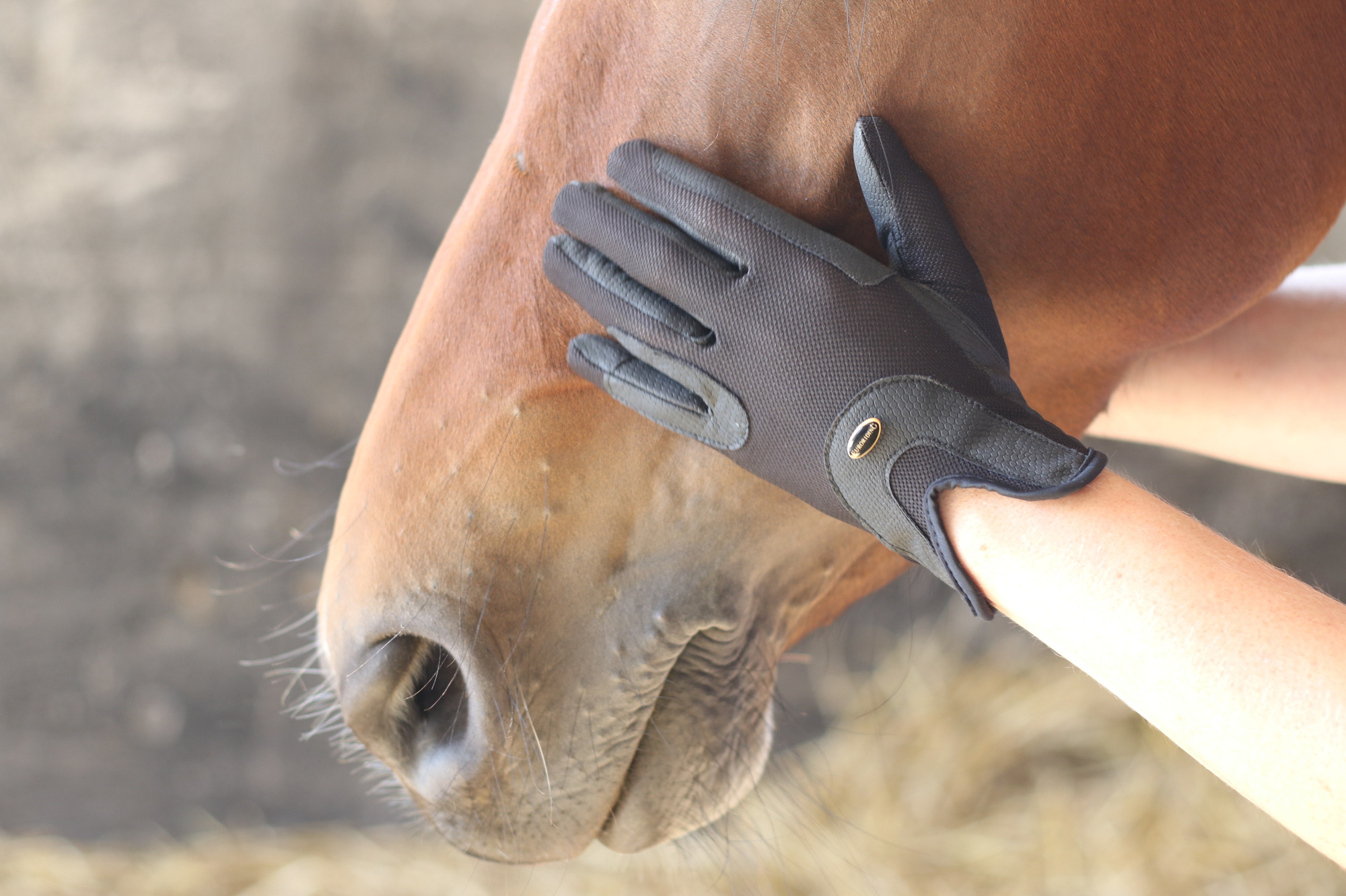 Euroriding Handschoenen Visby