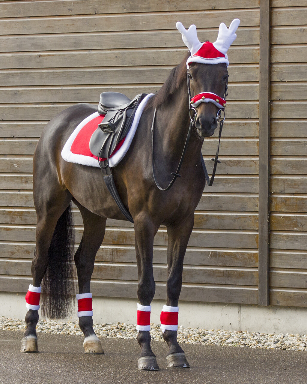 QHP Christmas Saddle Pad