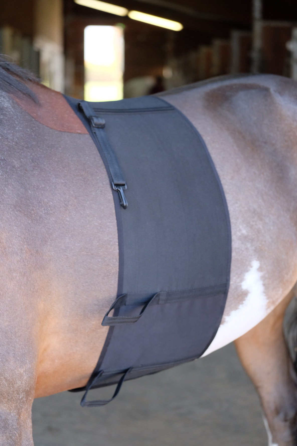 Norton Body Bandage