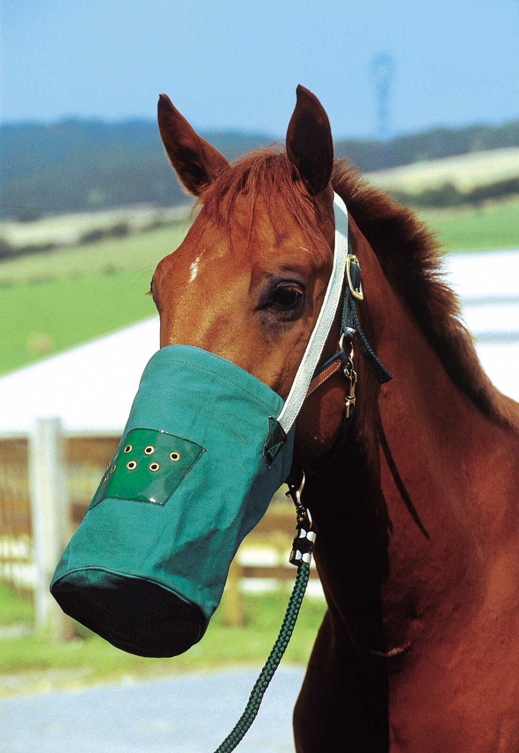 Hippo-Tonic Canvas Feed Bag