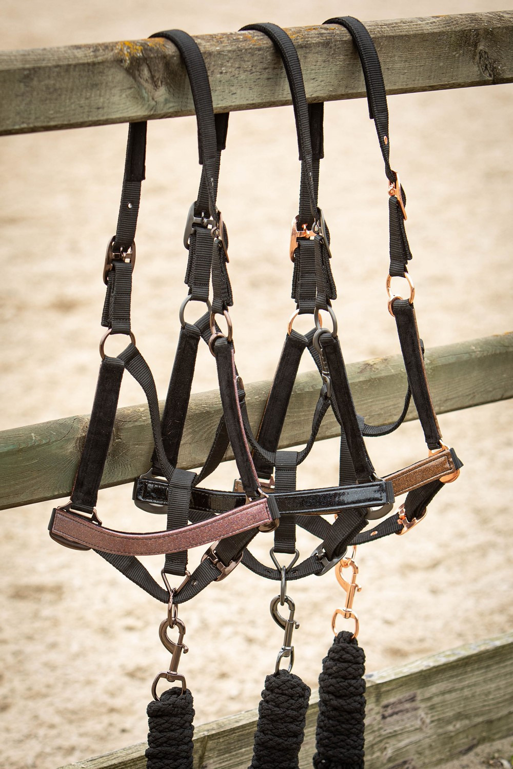 Harry's Horse Metallic II Halter Set