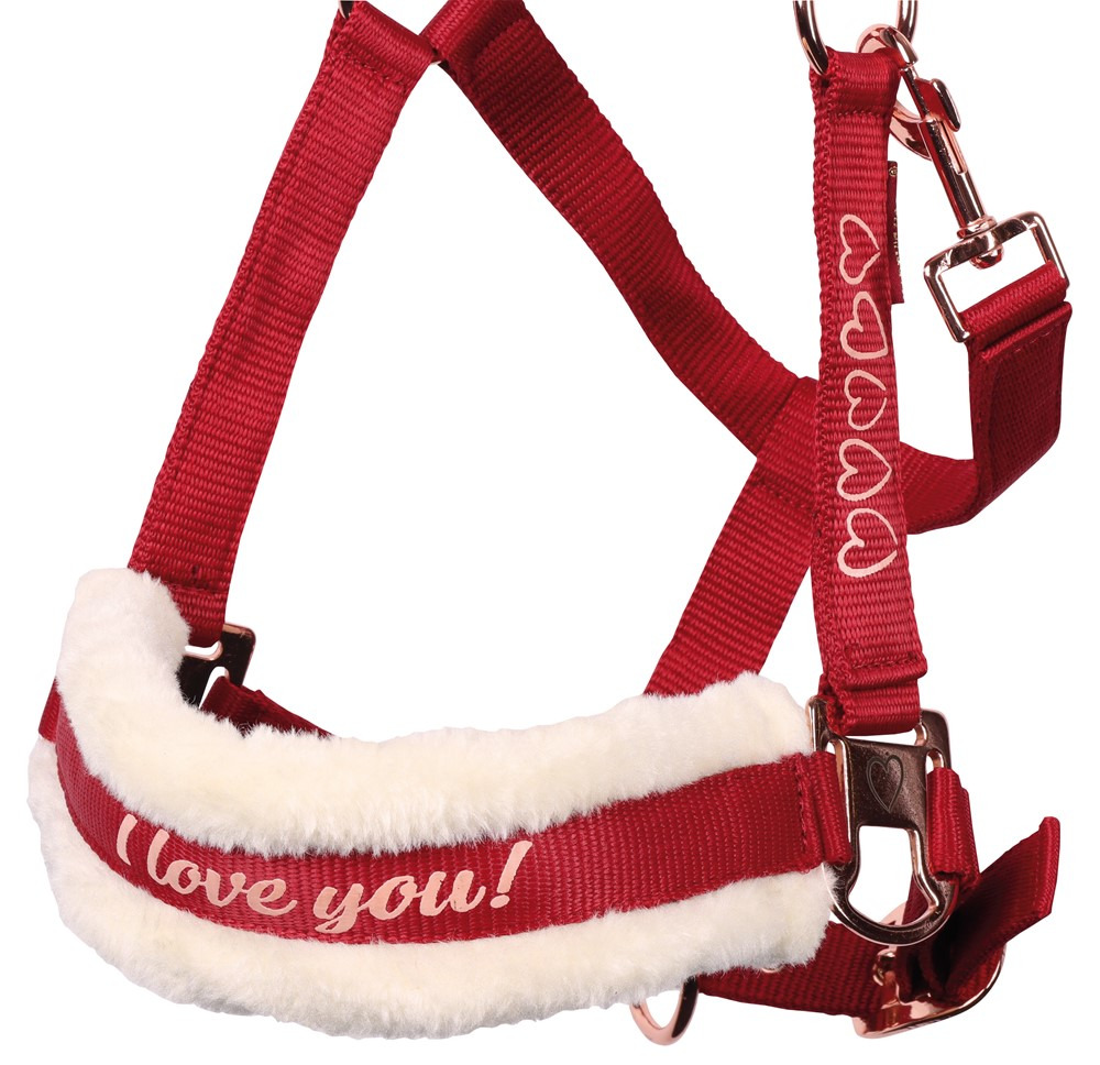 Harry's Horse Love Halter Set