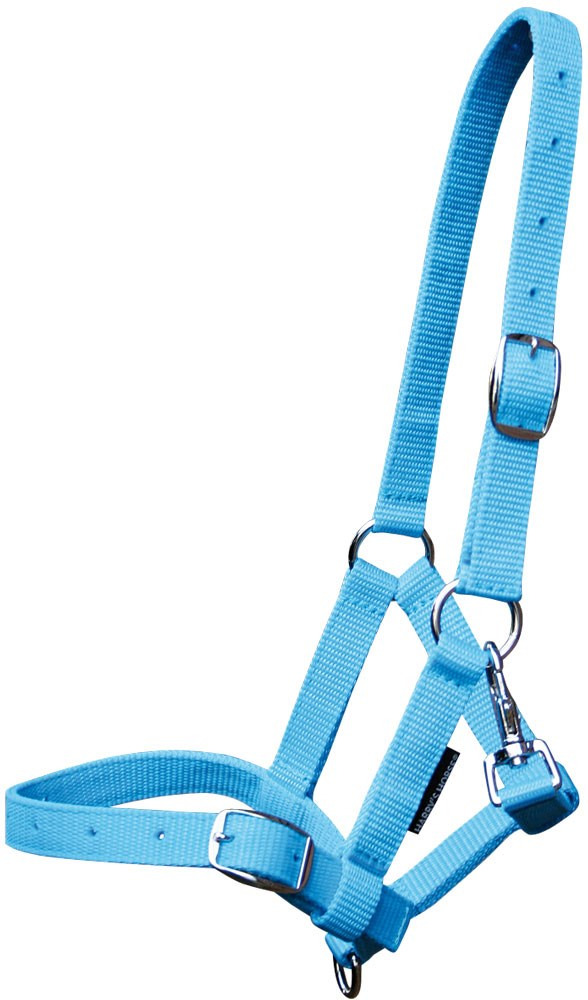 Harry's Horse Foal Halter