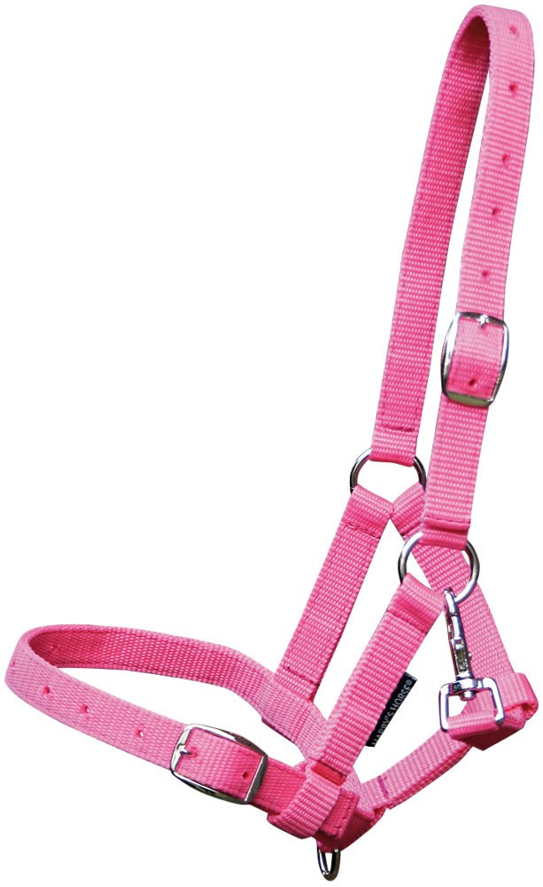 Harry's Horse Foal Halter