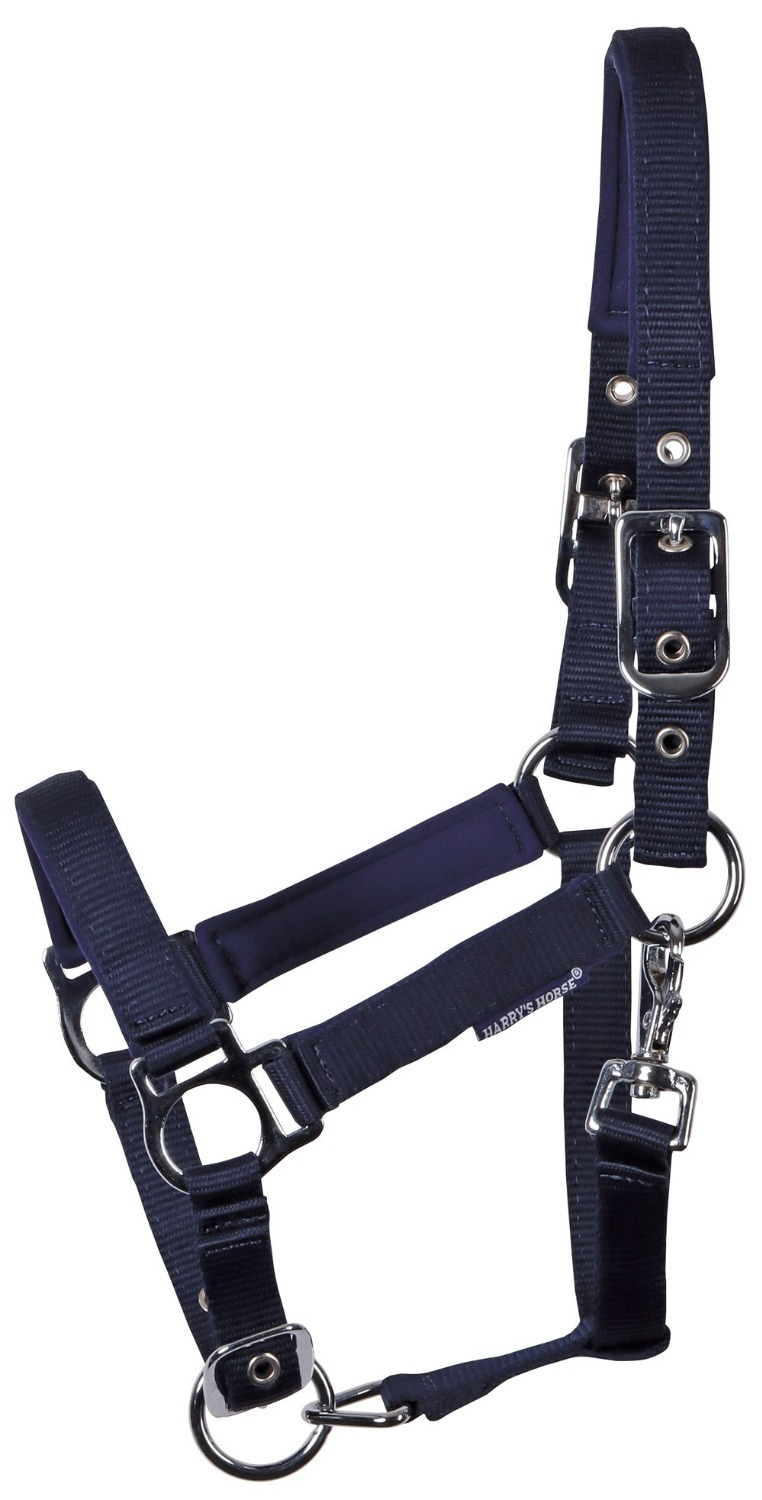 Harry's Horse Foal Halter Padded