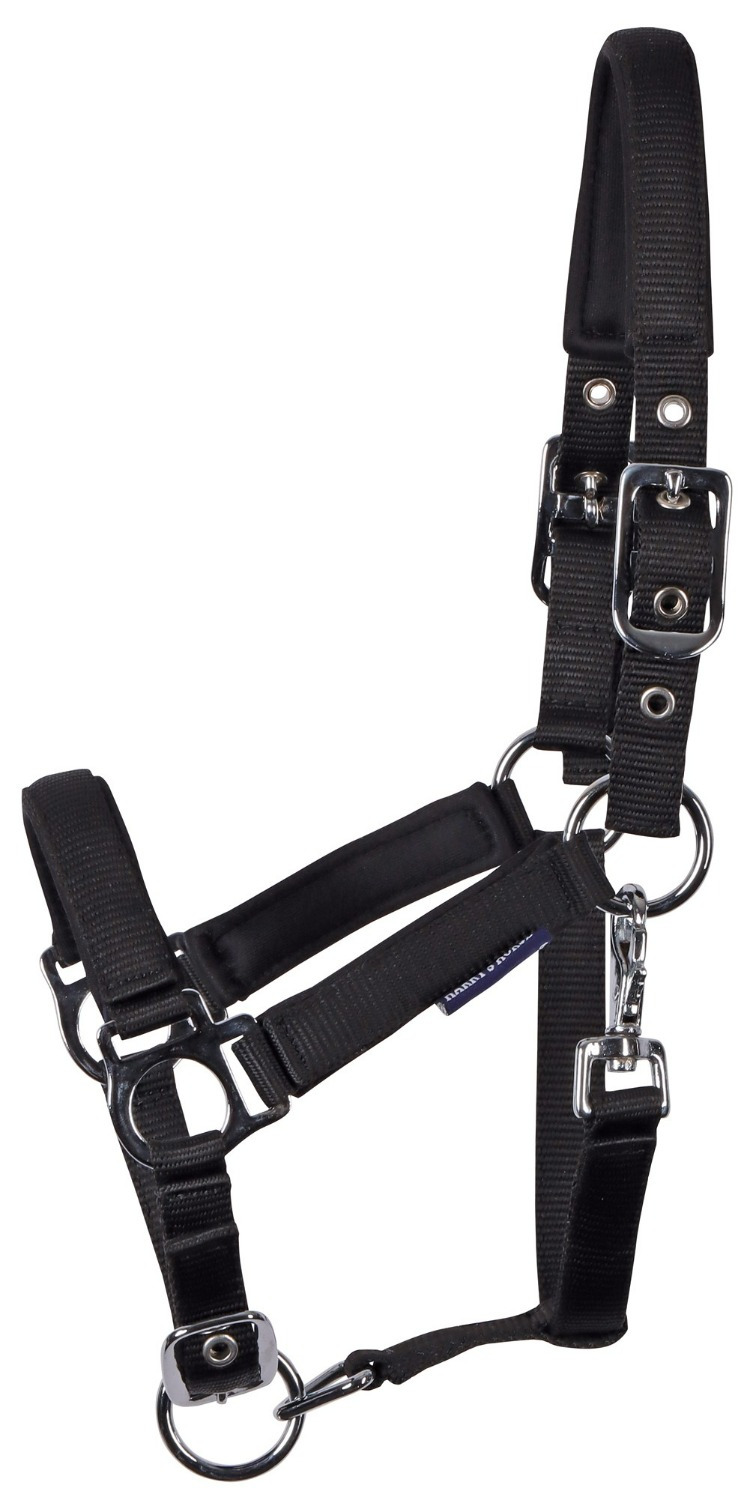 Harry's Horse Foal Halter Padded