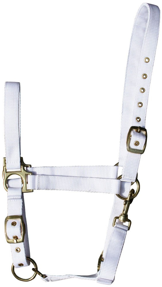 Harry's Horse Halter 3-way adjustable