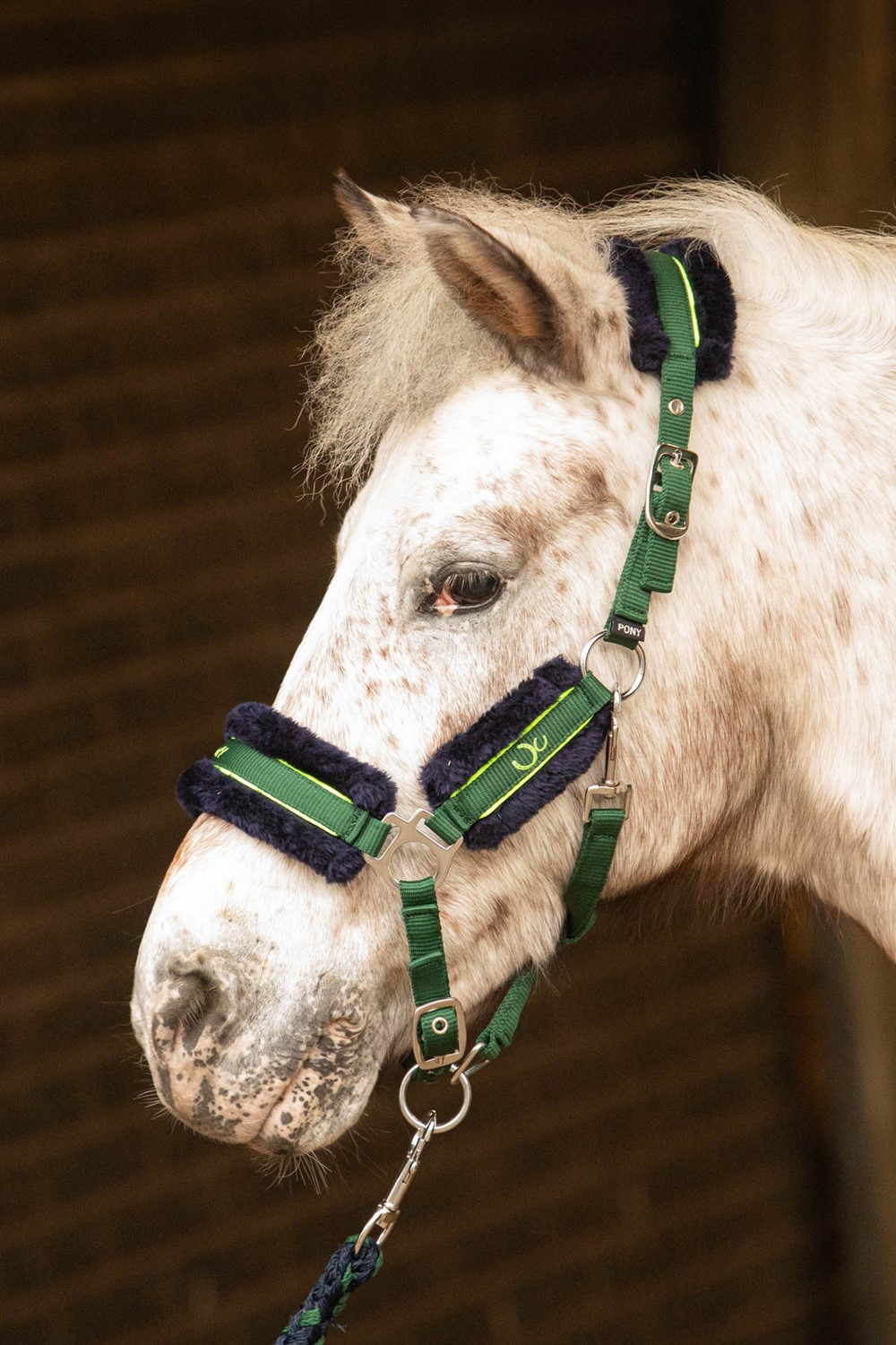 Harry's Horse FW25 Halterset Soft Stout!