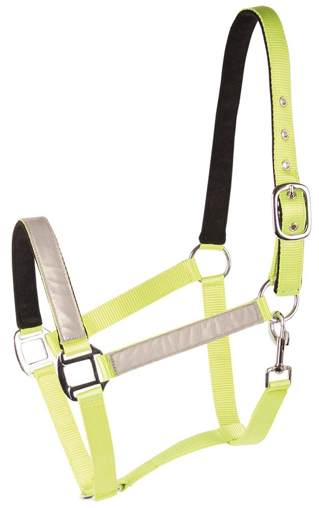 Harry's Horse Reflective Halter
