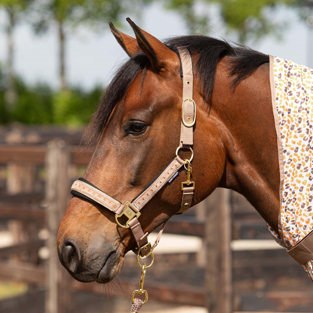 Harry's Horse SS26 Halter Set Crystal