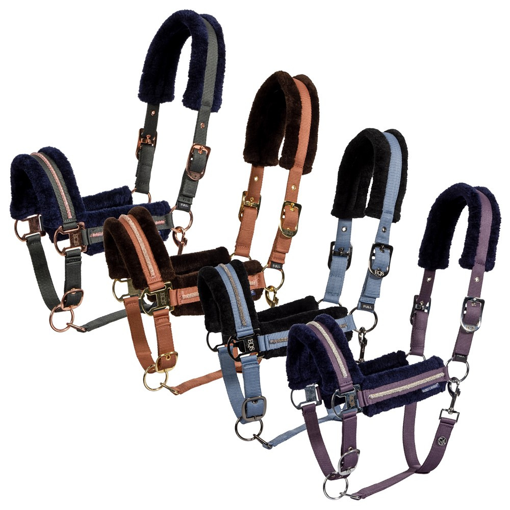 Harry's Horse FW26 Halter Set Soft