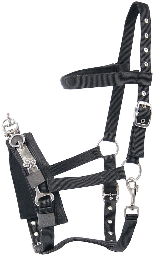 Lungecavesson black