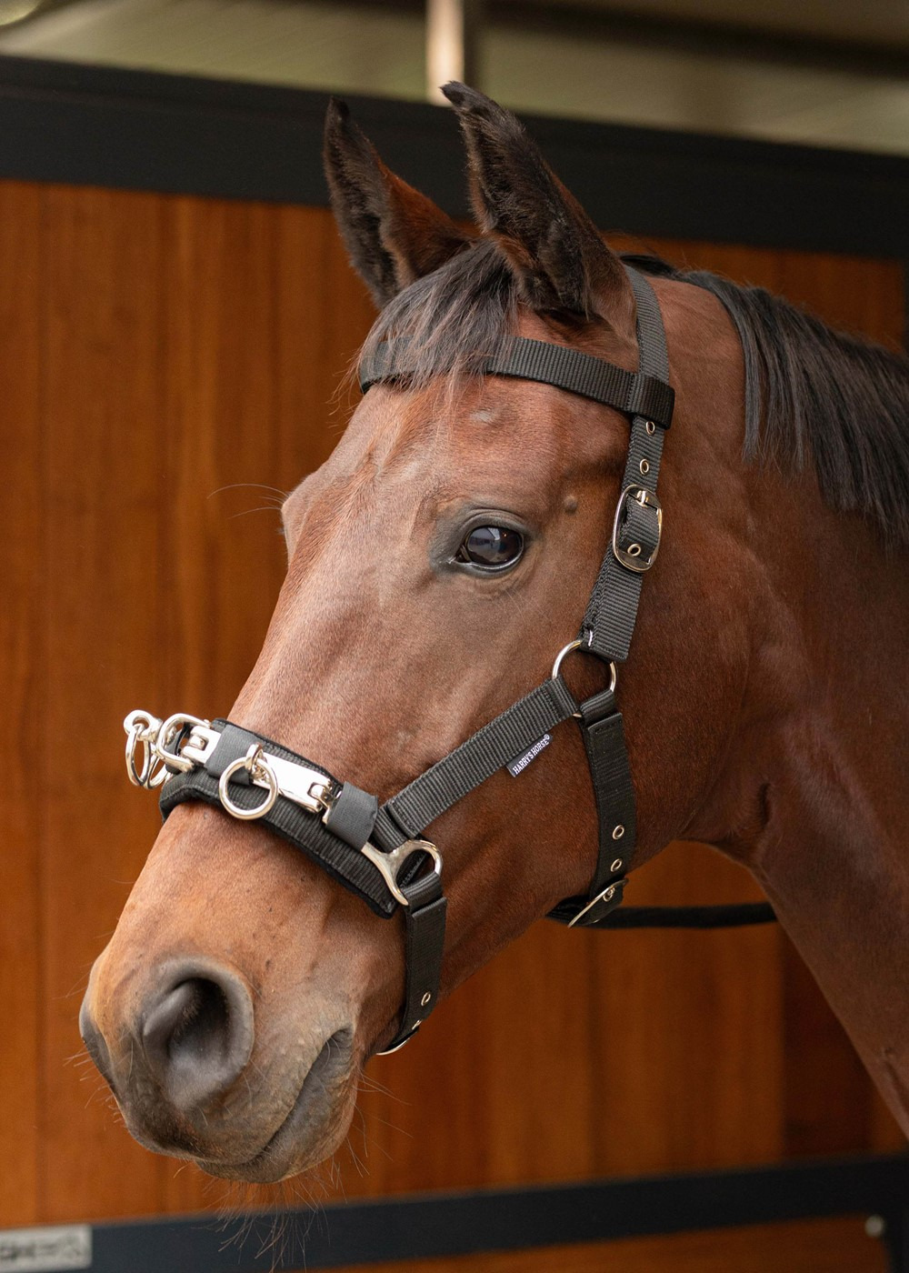 Harry's Horse Kaptoom Hoofdstel zwart 