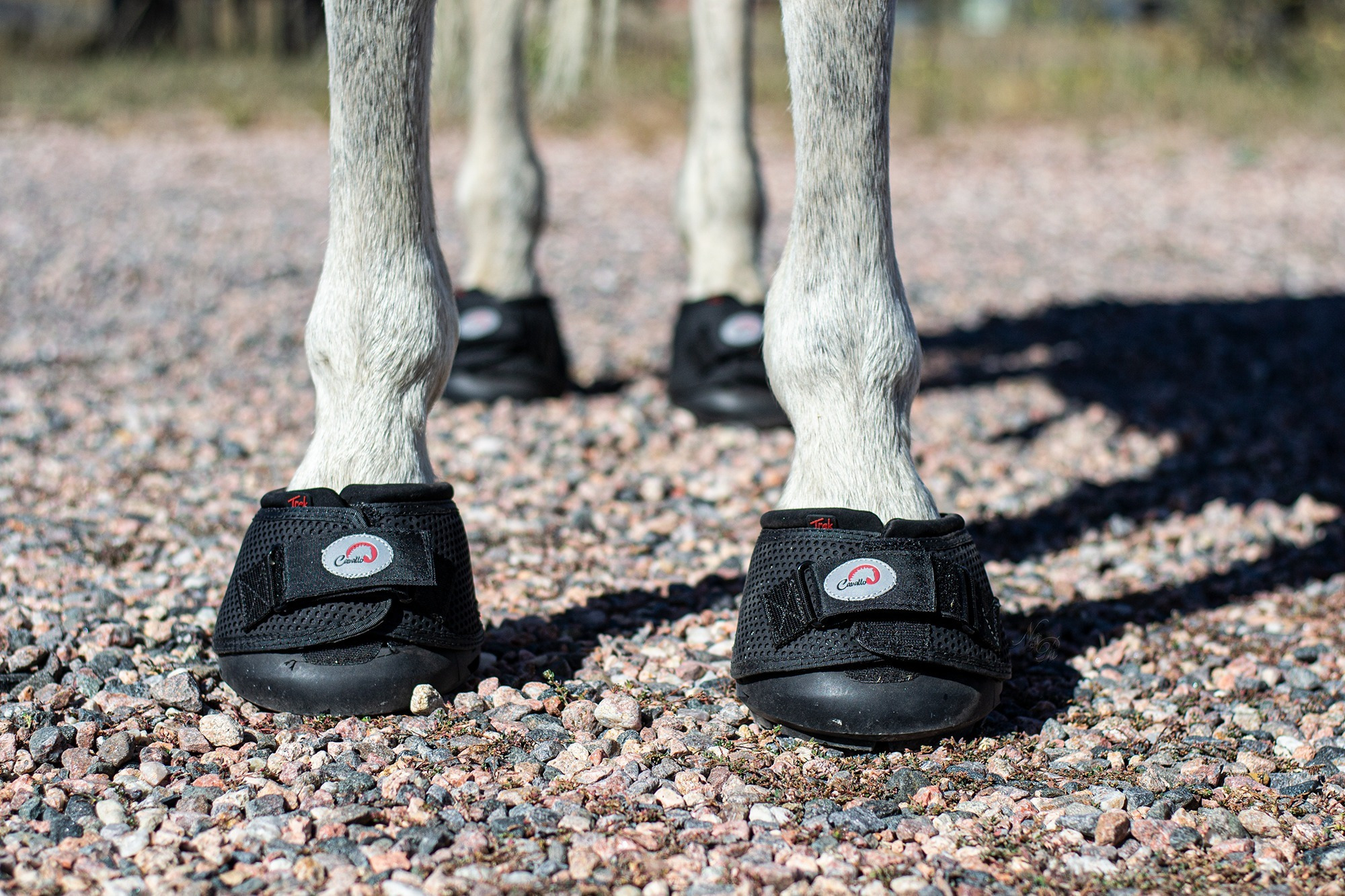 F.R.A. Cavallo Hufschuh TREK SLIM