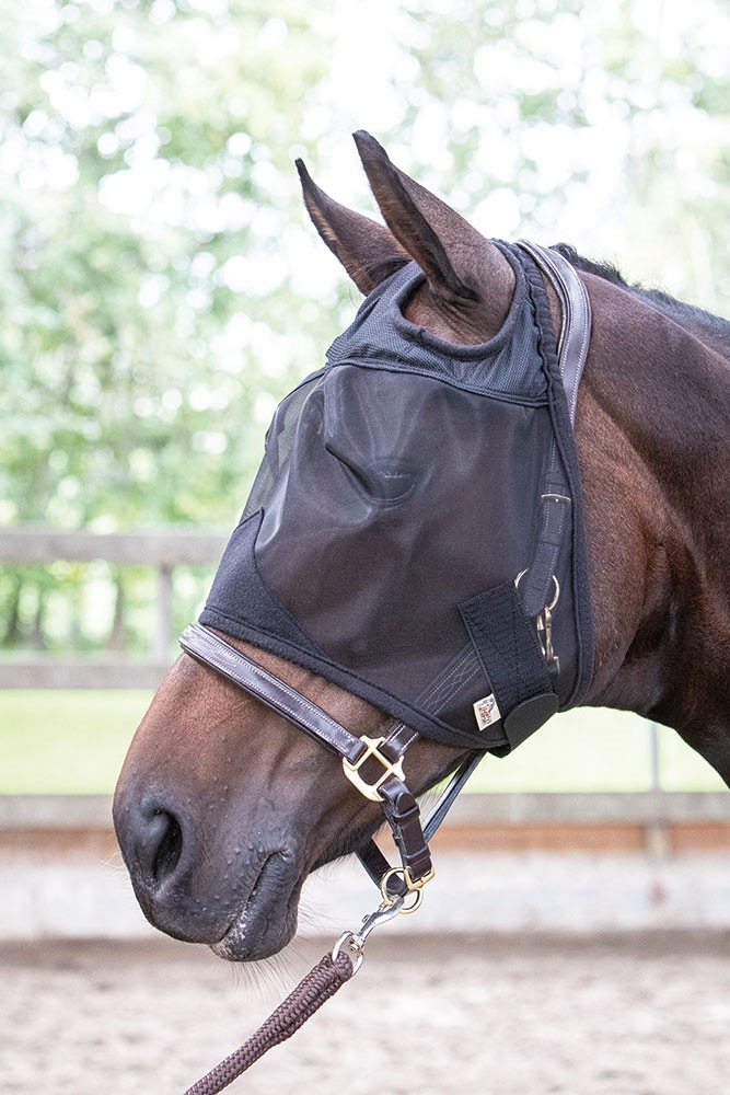 Harry's Horse Fly mask Flyshield without ears