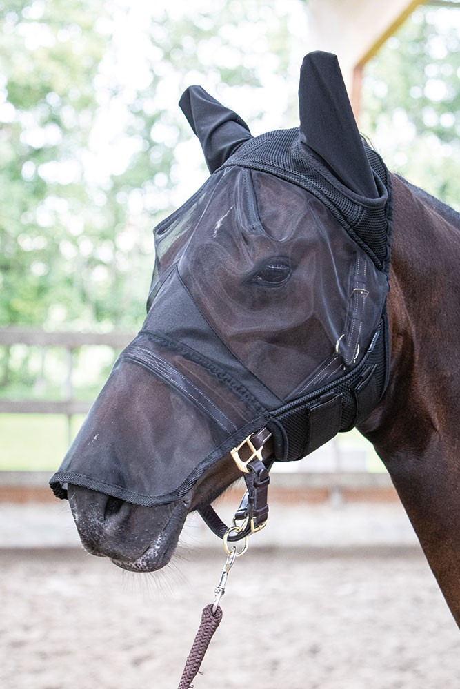 Harry's Horse Mesh fly mask Flyshield with nose protection