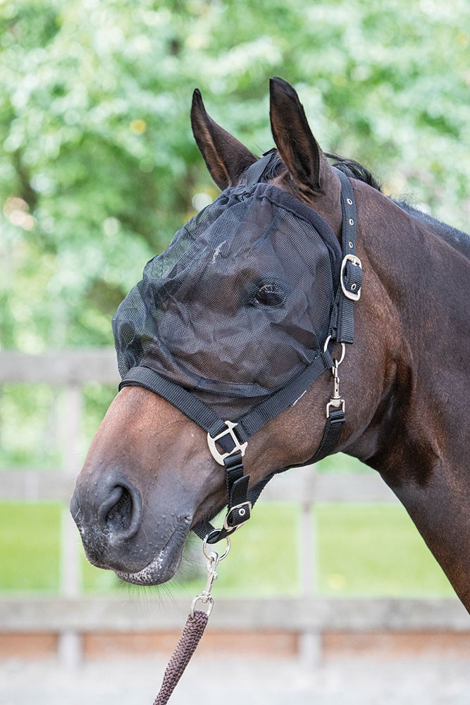 Harry's Horse fly shield halter 