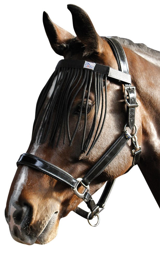 Harry's Horse fly fringe browband