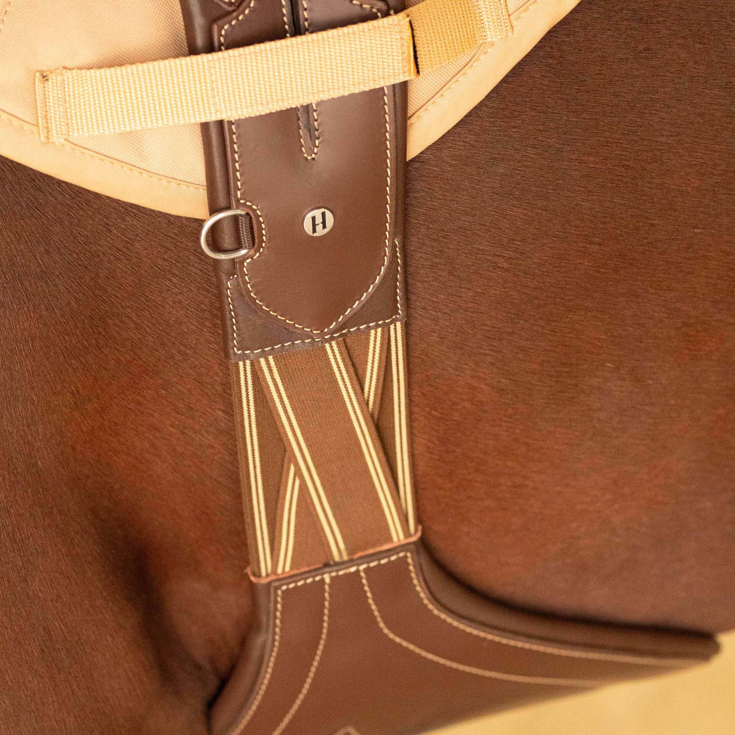 Harry's Horse springsingel buikflap Deluxe