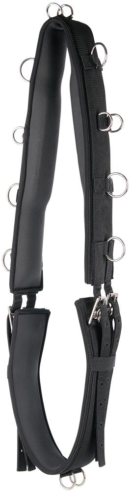 Harry's Horse Lunging girth Luxe