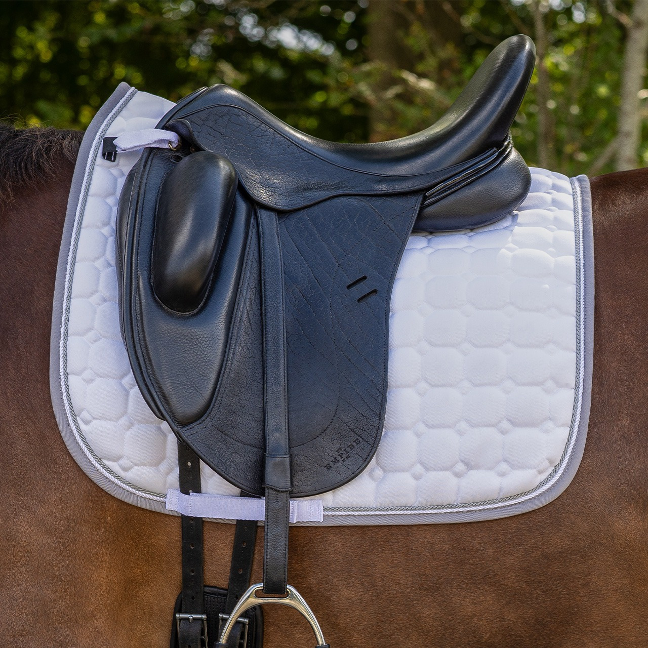 QHP Florence Saddle Pad