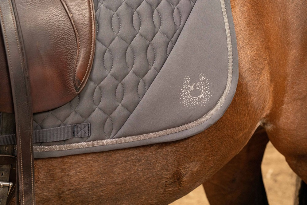 Harry's Horse SS25 Saddle Pad Trendy Jet