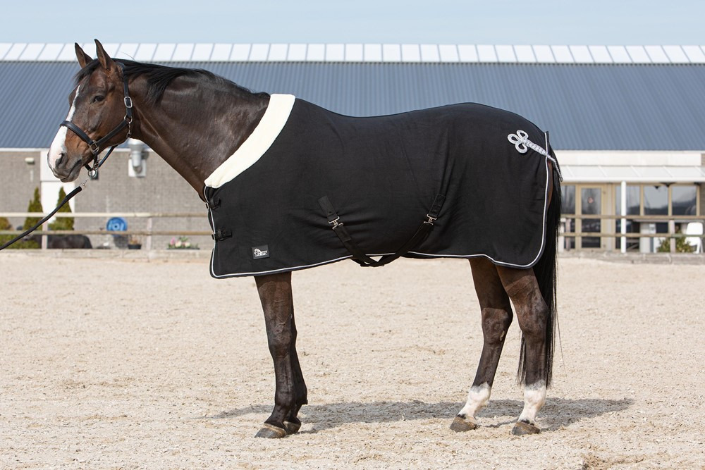 Harry's Horse Fleece Rug Champion