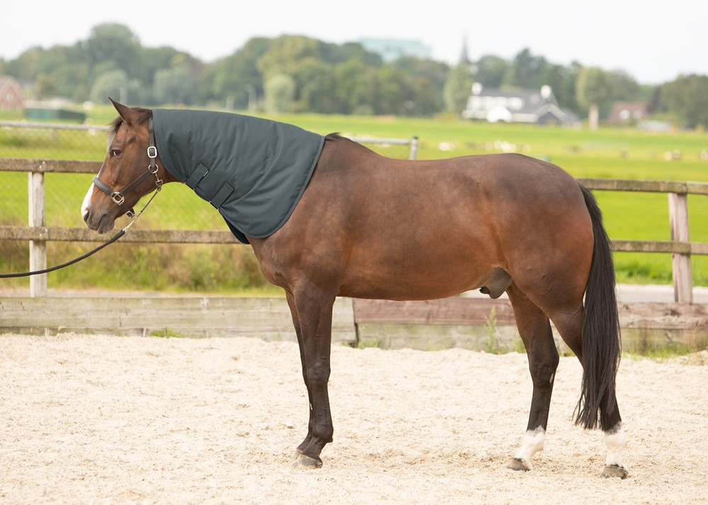 Harry's Horse Neckcover Thor 200