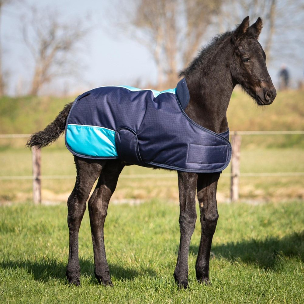 Harry's Horse Foal Rug TwoTone
