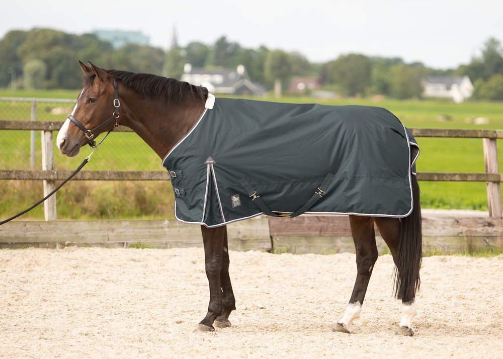 Harry's Horse Outdoorrug Thor 100