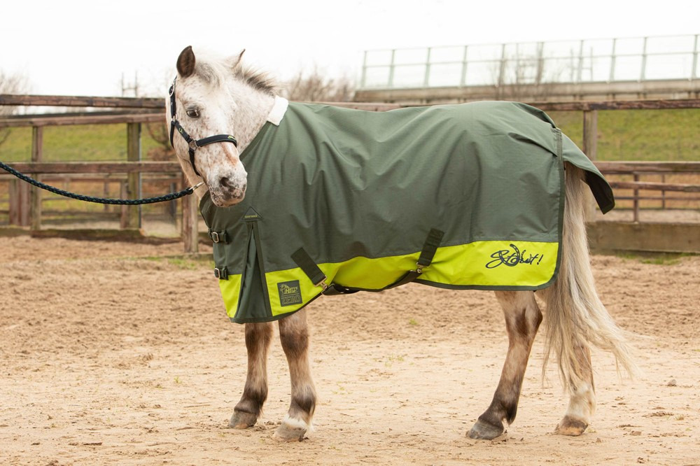 Harry's Horse FW25 Rain Rug 0gr Stout!